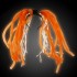 Noodle Hair-Orange